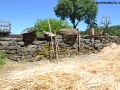 Photo_1586274556363