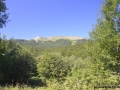 Photo_1586274918290