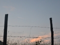 Photo_1586275468197