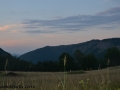 Photo_1586275472451