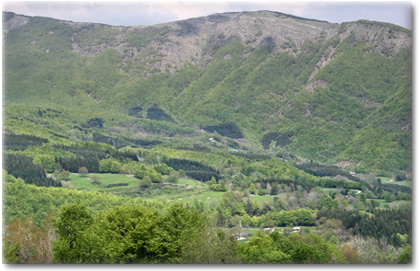 La Valle di Ospitale - sullo sfondo il Monte Lancio m 1549